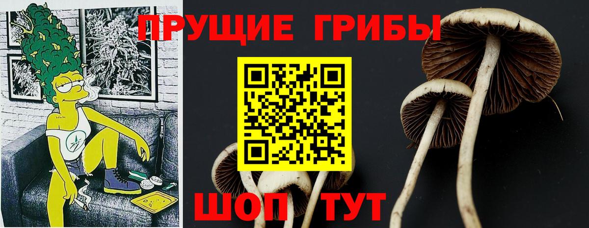 Псилоцибиновые грибы мухоморы  Вход с VPN  Кемерово  Псилоцибиновые грибы ЛСД 
