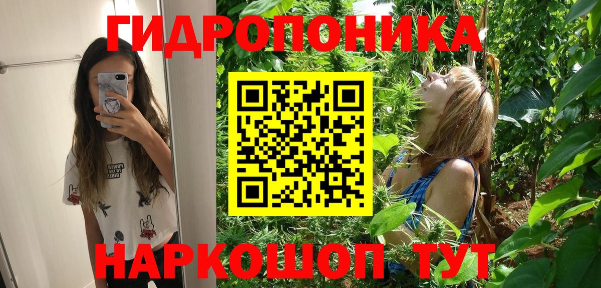 Конопля Amnesia  Шишки марихуана ГИДРОПОН  Вход с VPN  Кемерово 